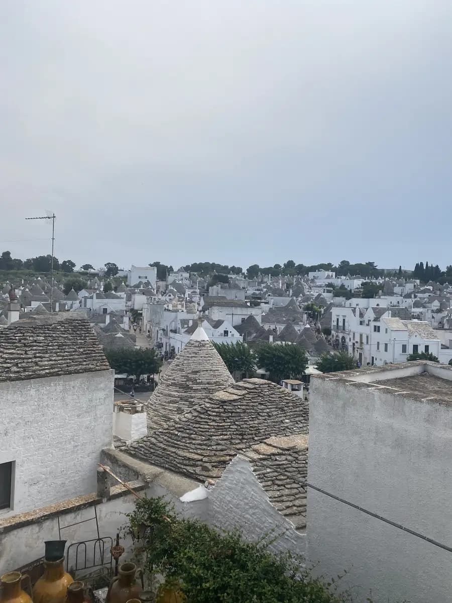 viewpoint of the trullis in the town of alberobello