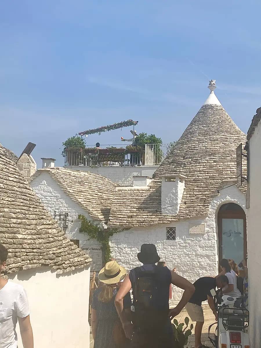alberobella in august 