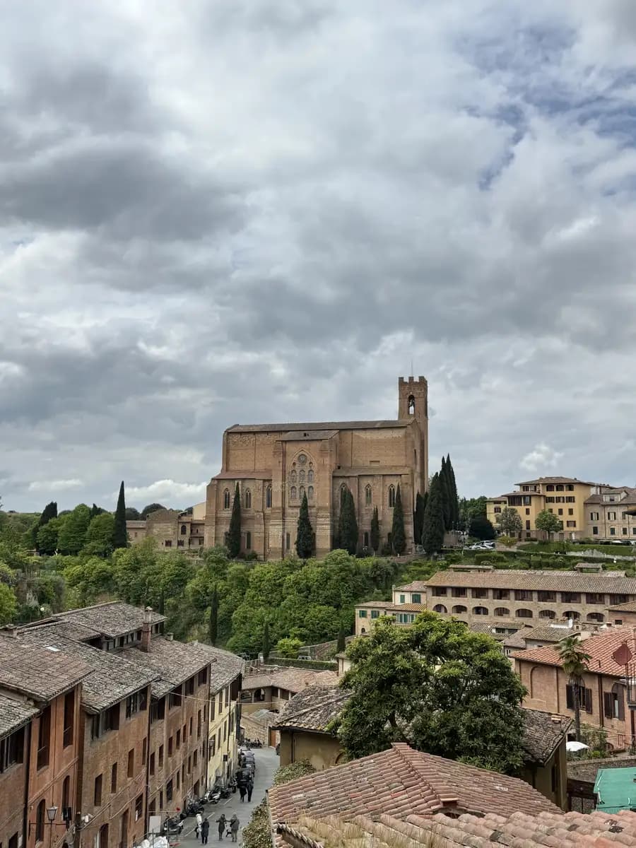 picture of the basilica cateriniana San Domenico with green cyprus trees infront
