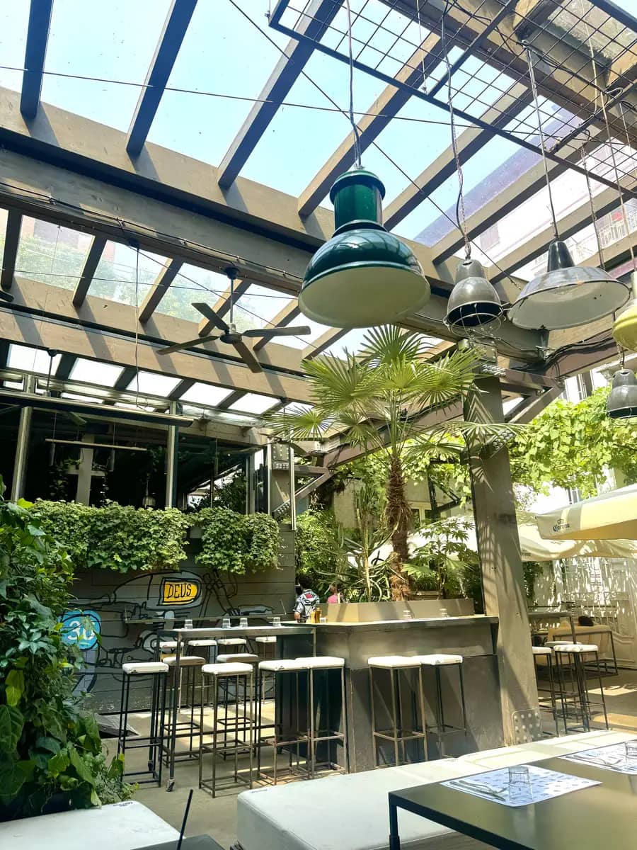 courtyard in deus cafe in the summer with lovely plants and trees