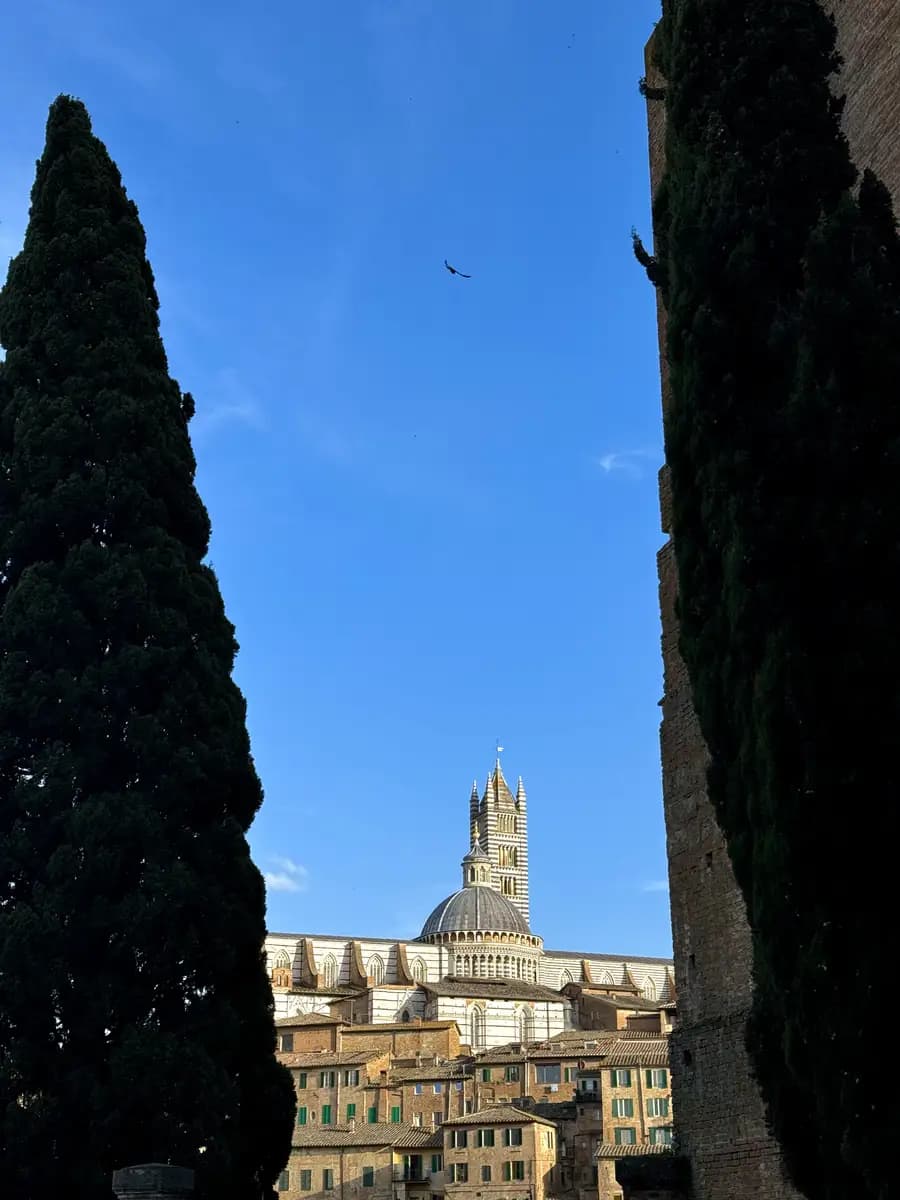 view of duomo di siena