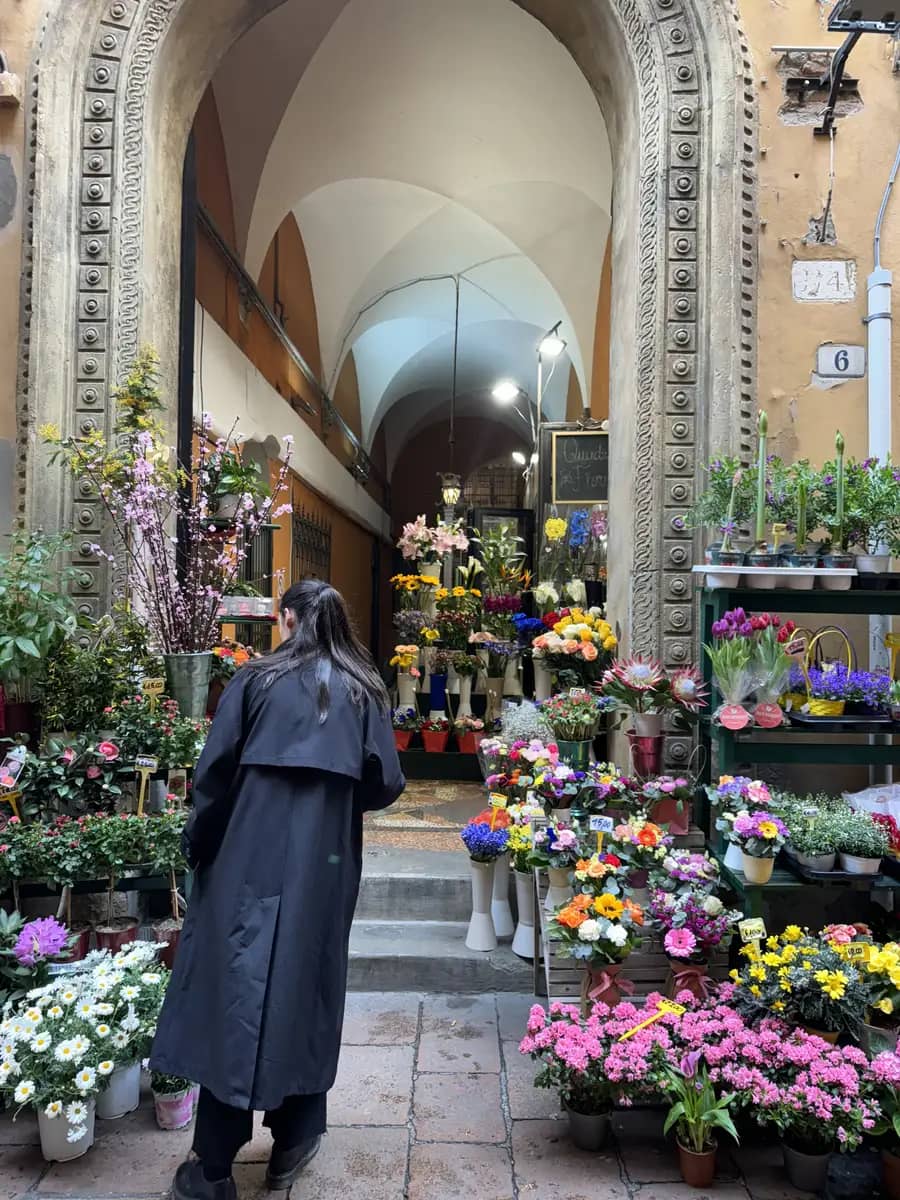lots of spring flowers in a flower market in Bologna