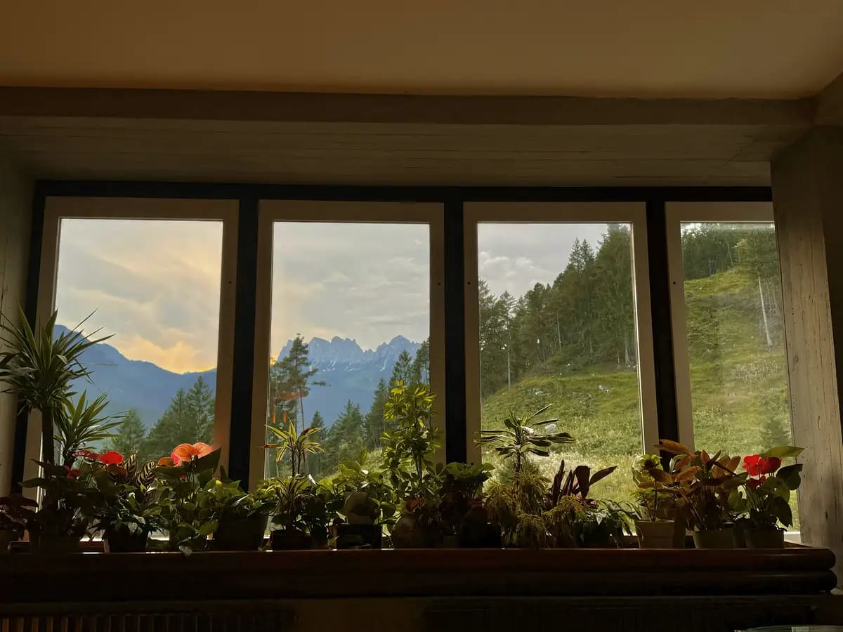 image of the window in hotel boito with their plants, flowers and mountain views