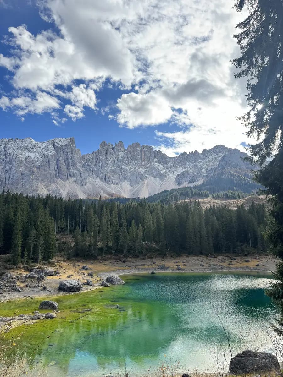 A wide landscape view of Lago di Carezza in the Dolomites, showing the vibrant emerald green water reflecting the jagged limestone peaks of the Latemar mountain range under a clear blue sky.