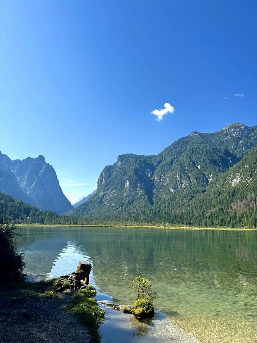 picture of a turquoise lake with tree covered mountains in the background