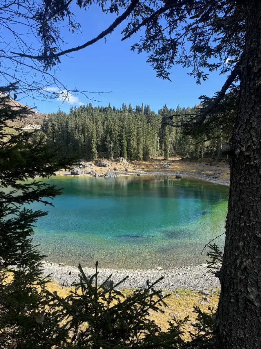 lake karersee dolomites italy lago di carezza 