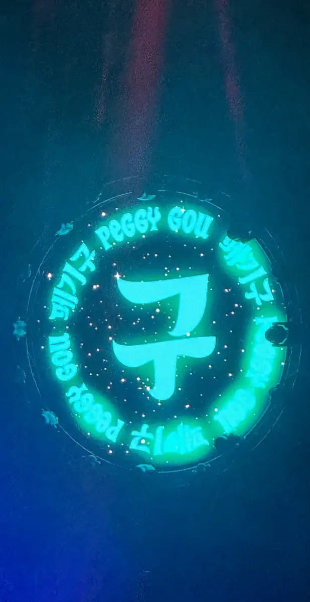 peggy gou unipol arena bologna italy