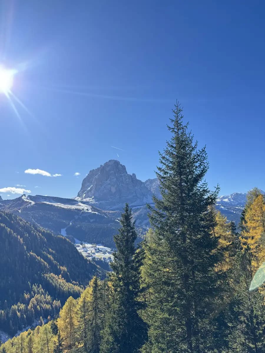 Golden autumn larch trees framing the massive Sassolungo mountain on the trail up to Seceda in Val Gardena on a clear October morning