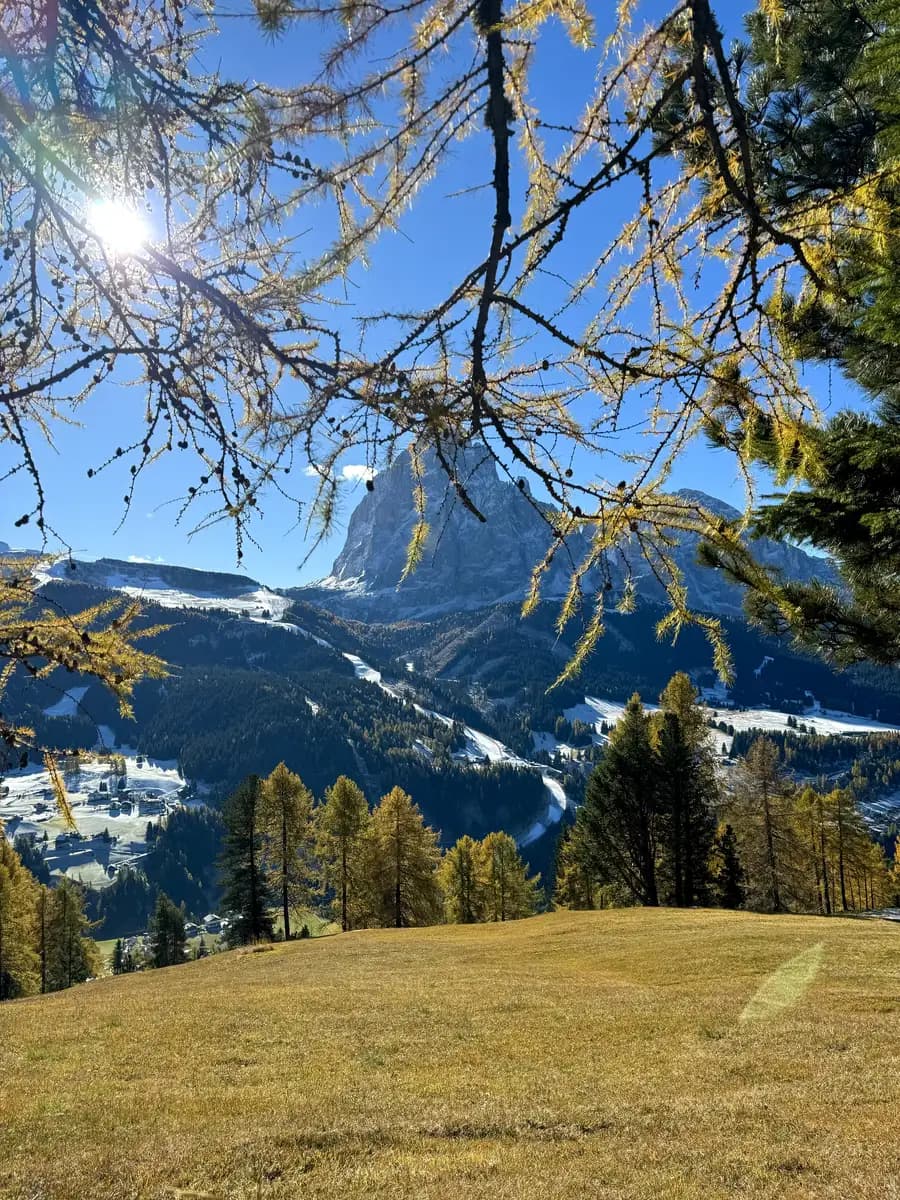 A view of the Sassolungo mountain from the hiking trail between Cristauta car park and Seceda, featuring bright orange and yellow autumn trees in the foreground.