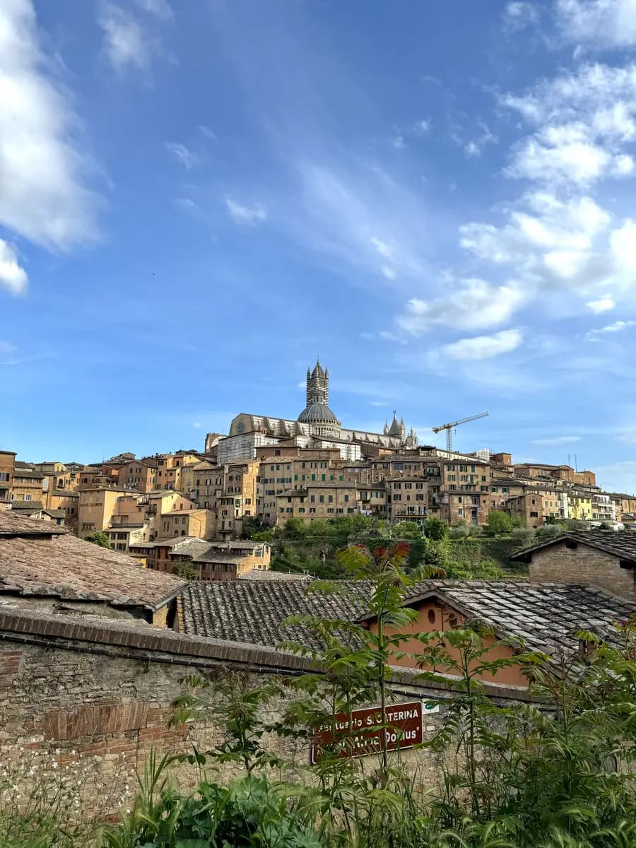 view of siena town while walking up the steps to the basilica