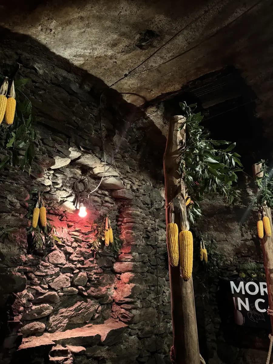 corn hanging from the ceiling in a wine cellar in morbegno