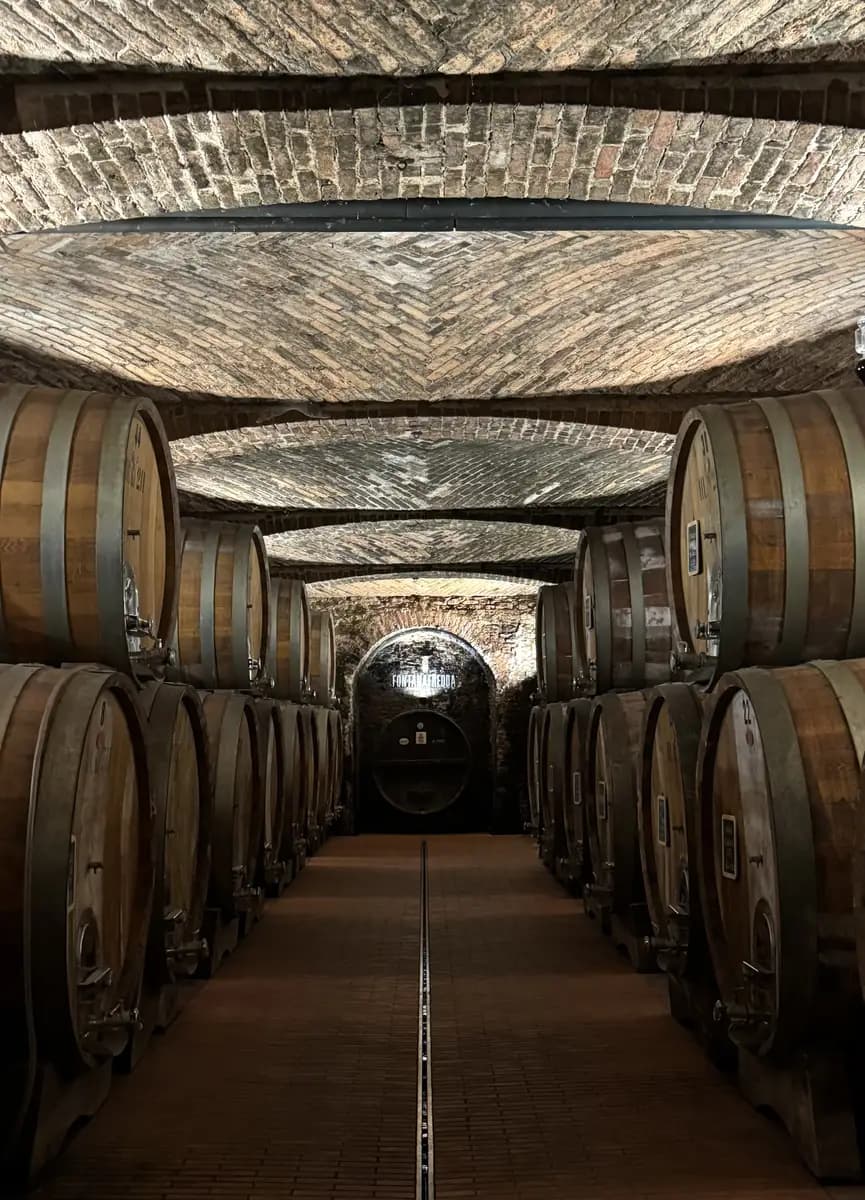 big brown round barrels underground in the wine cellar
